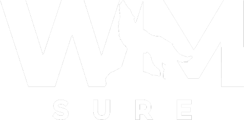 WMSURE Logo